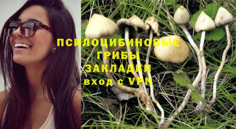 Галлюциногенные грибы Magic Shrooms  купить   Карпинск 